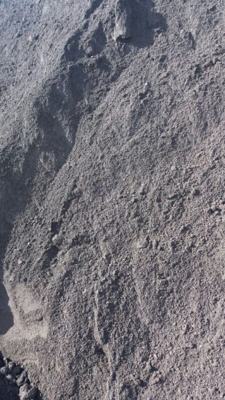 garhi group (46)